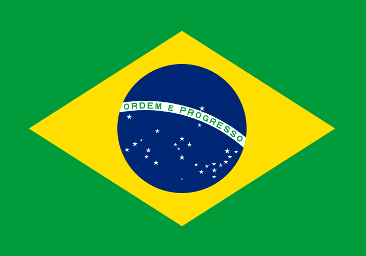Português - Brasil