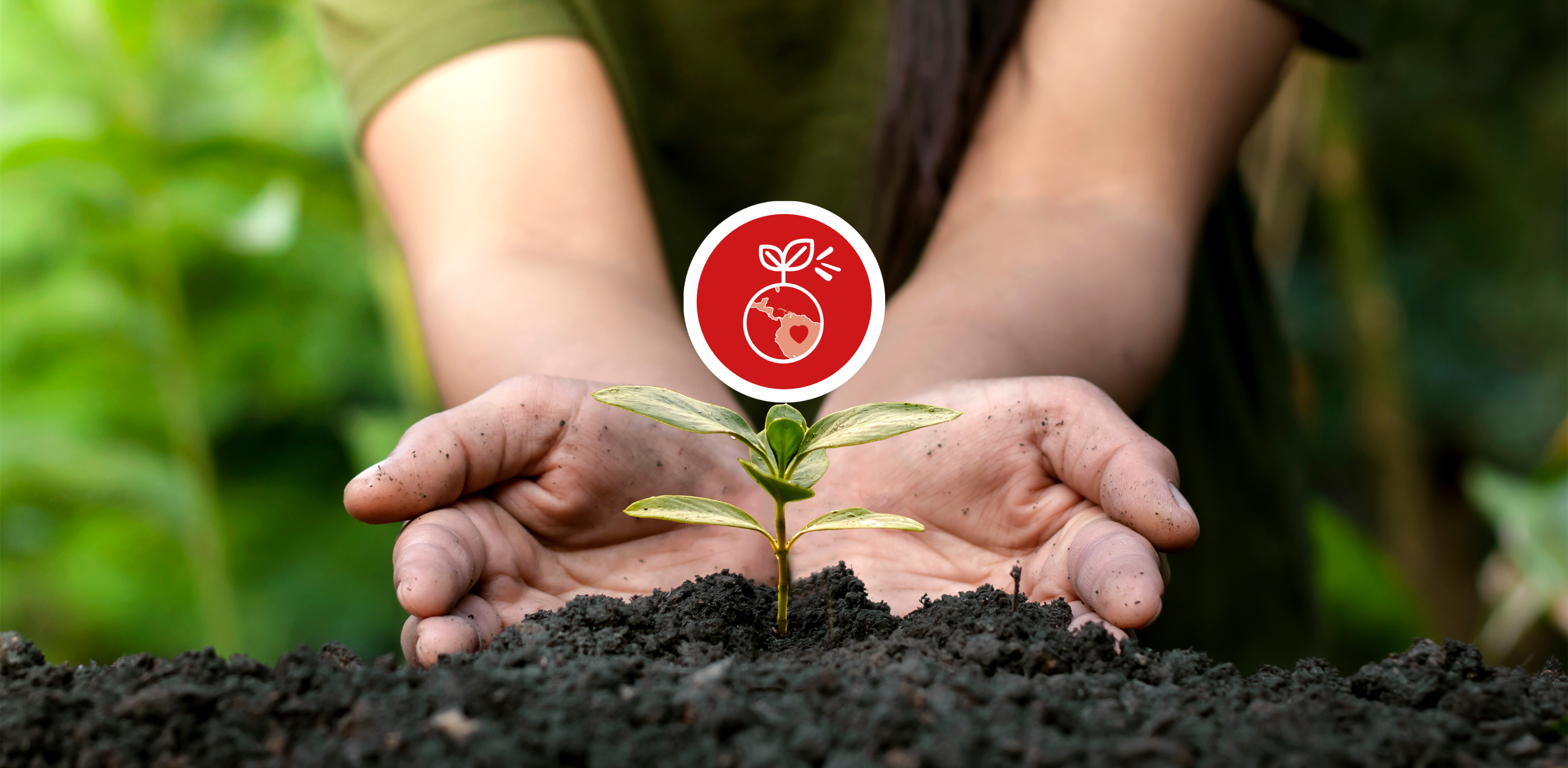 Apprendre à prendre soin ensemble de notre maison commune Cadre de référence Écologie intégrale